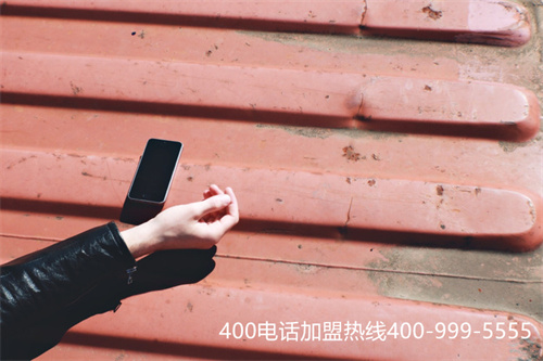 (電信400一級服務(wù)商有哪些)(電信400是什么)