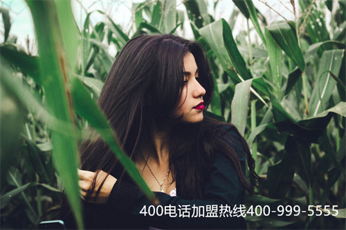 (400電話辦理入戶選擇代理商的六大注意事項)(泉州400電話代理有哪些？)