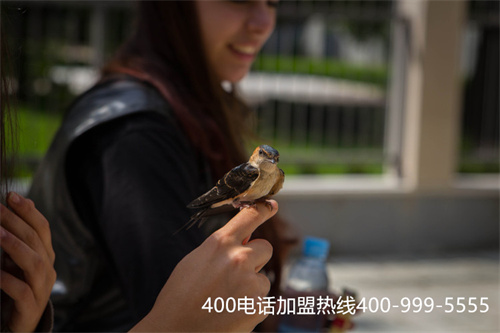 (400電話呼叫轉(zhuǎn)移設(shè)置)(400電話具備哪些實(shí)用功能？)
